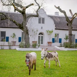 San Gabriel Homestead Apartment Somerset West